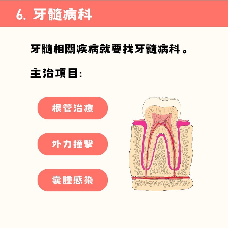 牙髓病科